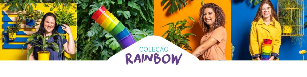 Coleção Rainbow
