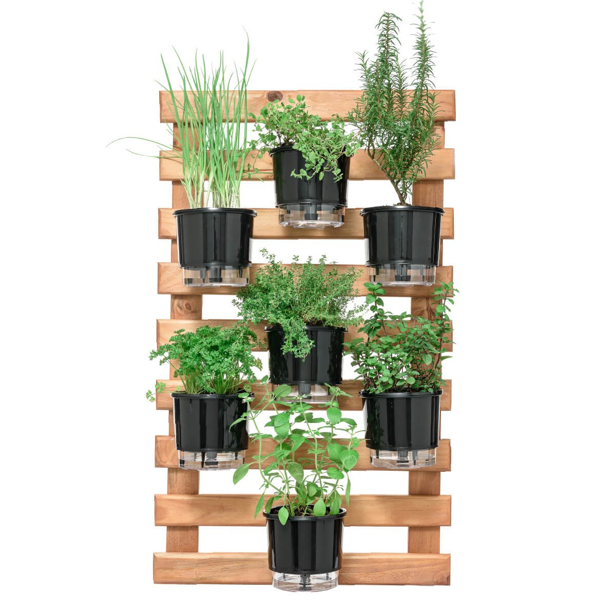 horta-60x100-rustica-7-vasos-