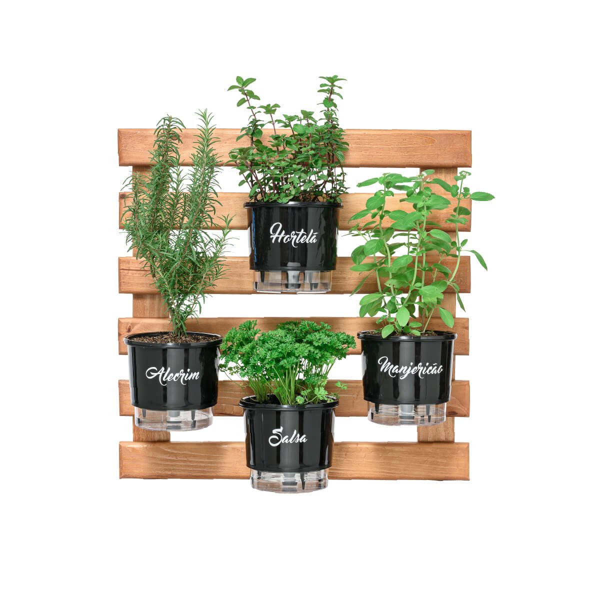 horta-colecao-gourmet-60x60-