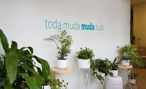 imagem padrao blog