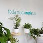 imagem padrao blog