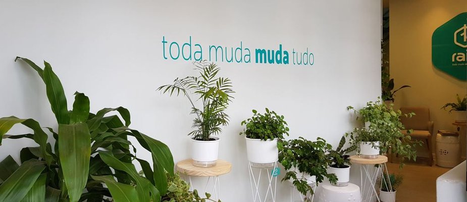 Sementes - Aprenda como cultivar