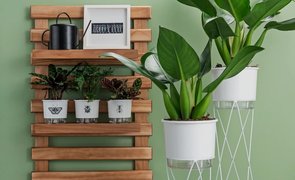 cuidar de plantas com vasos autoirrigaveis raiz
