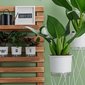 cuidar de plantas com vasos autoirrigaveis raiz