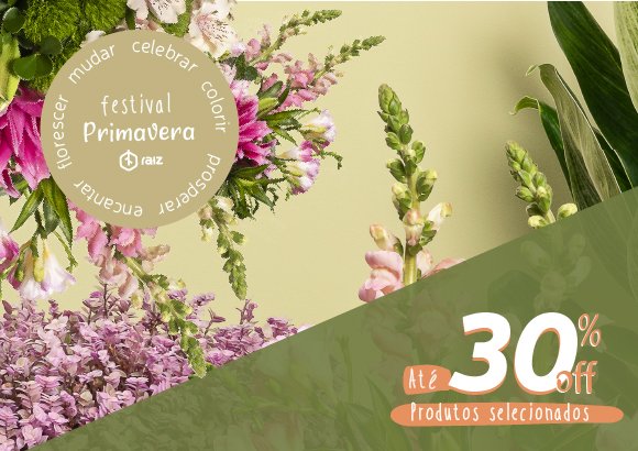 primavera raiz formato campanha 580 x 410