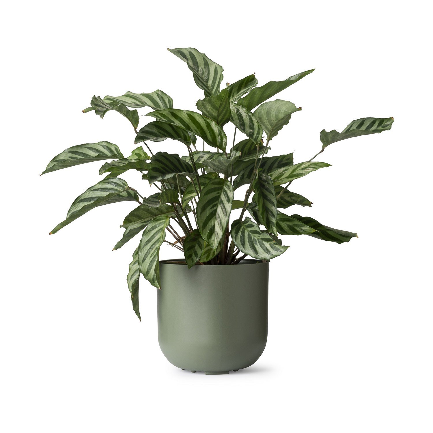 Cachepo DUE N3 Pote 15 - Verde Militar